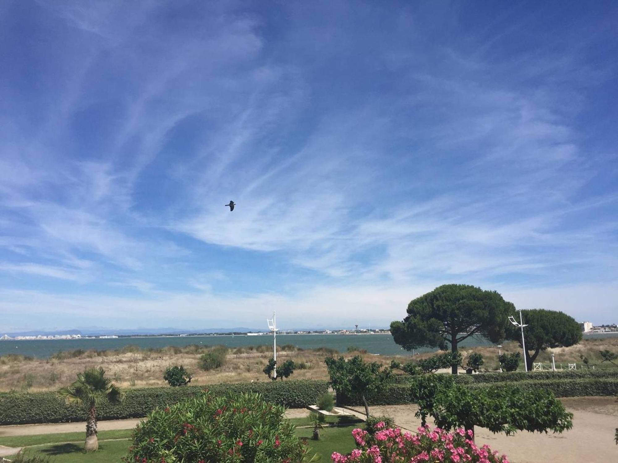 Apartment 2 4 Pers Avec Parking, Vue - Port Camargue - Fr-1-731-130